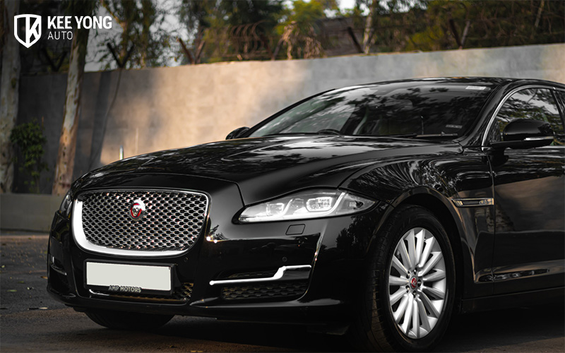 Image of a Jaguar